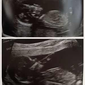 Meet your Posher, Wendy